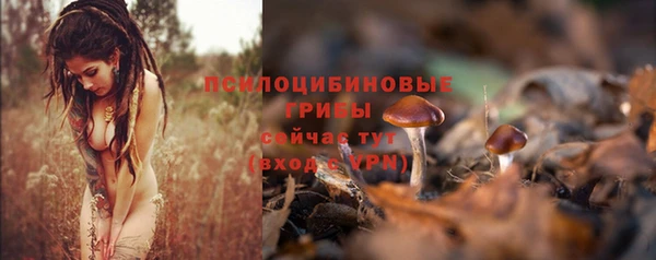 меф Ладушкин