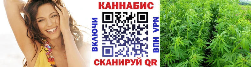 Марихуана ГИДРОПОН  Купить где  Ессентукская 
